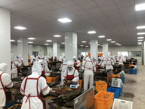 無(wú)標(biāo)題